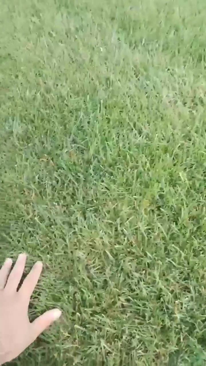 Видео с наших полей