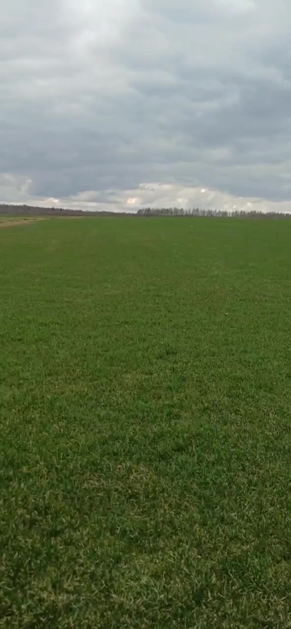 Видео с наших полей