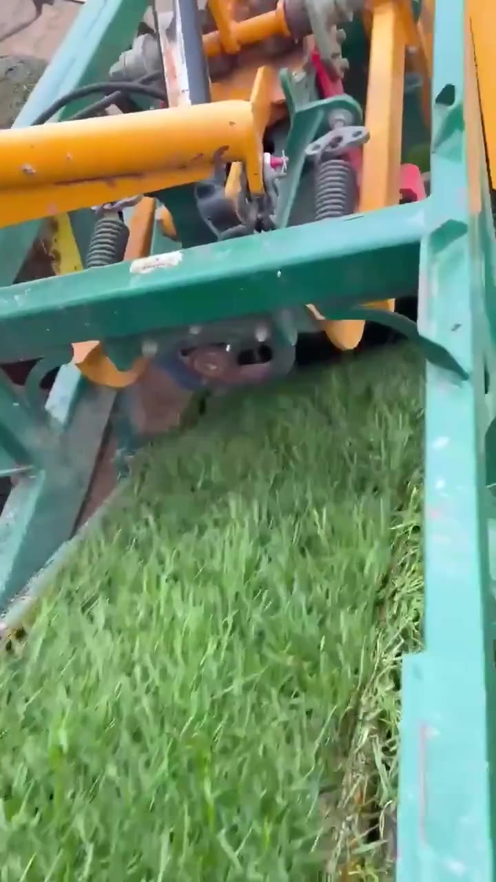 Видео с наших полей