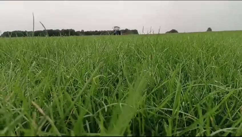 Видео с наших полей