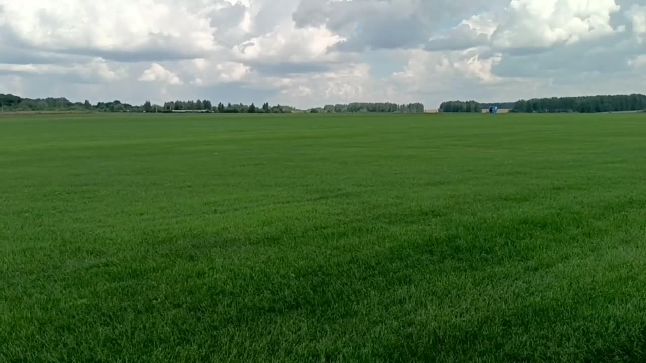 Видео с наших полей