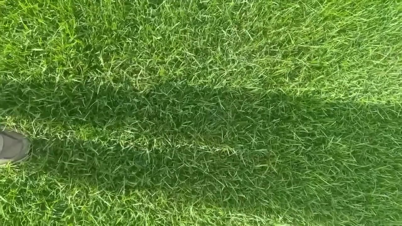 Видео с наших полей