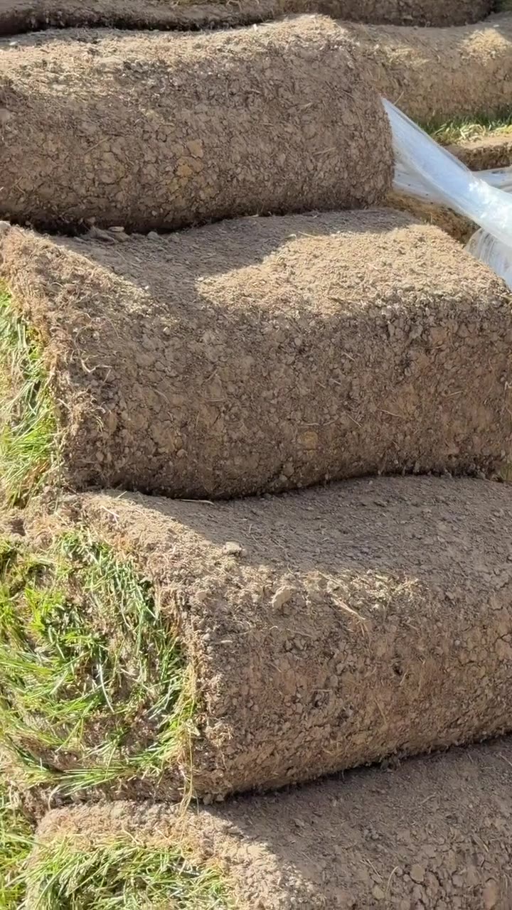 Видео с наших полей