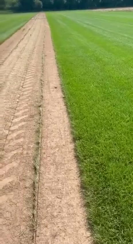 Видео с наших полей