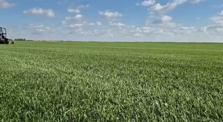 Видео с наших полей